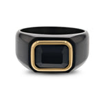 Black Titanium Signet Ring with Black Onyx Outlined in Gold Plating 