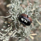 70/30 Walnut Wood Ring with Carbon Fiber Sleeve - Camo Ever After