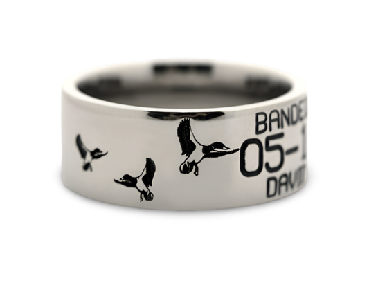 duck band with ducks