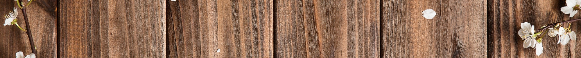 Wood Rings Header