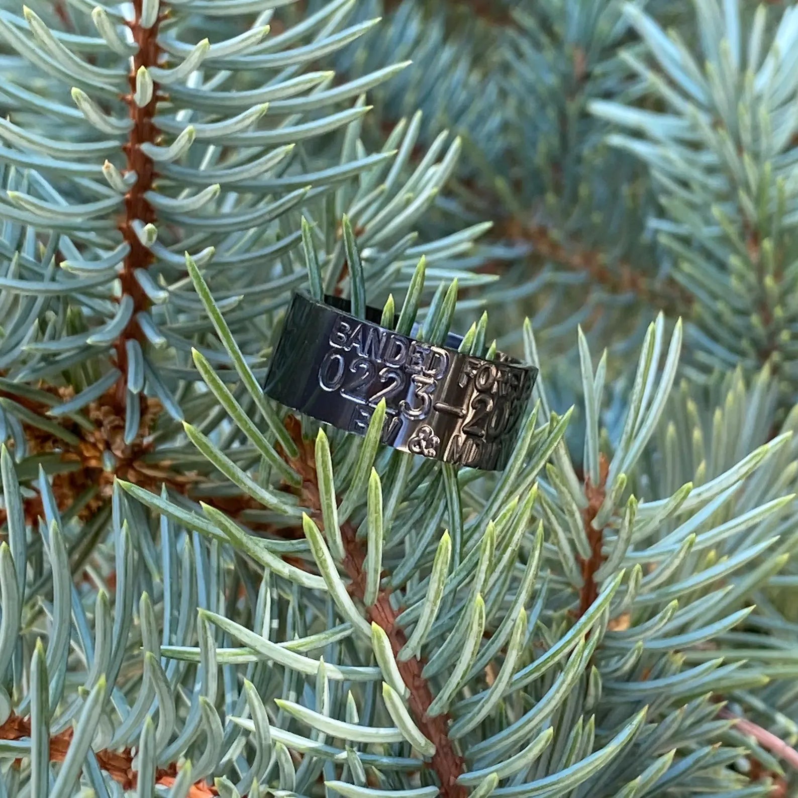 Black Duck Band Ring - Zirconium 10mm 